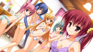 【2次元エロ】誘惑されたい、艶やか下着姿の美少女エロ画像【めちゃシコ】-03