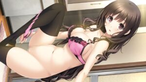 フリルの着いた可愛い水着や下着を着ている女の子のエロ画像【36枚】