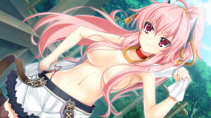 上半身裸でおっぱい丸出しトップレス状態の女の子達のエロ画像