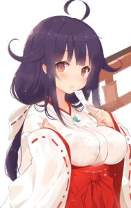 【巫女】清楚な巫女服姿の女の子の画像ください その18